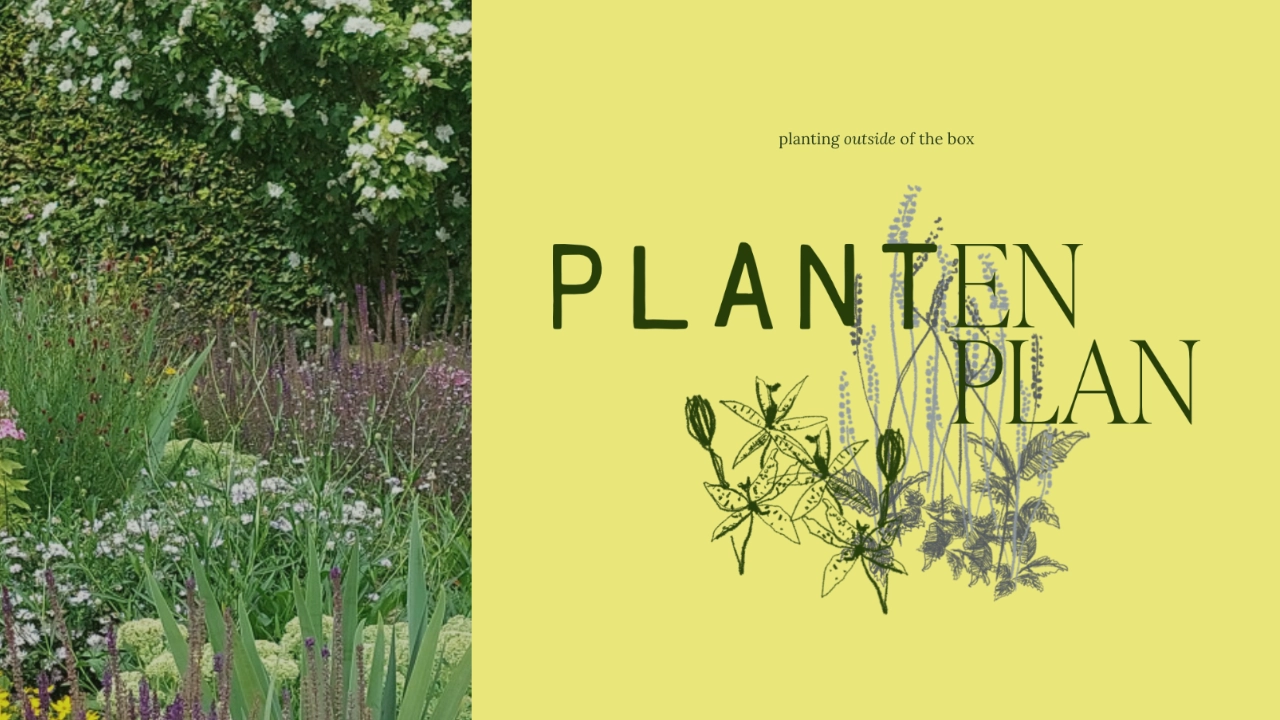 Plantenplan cover